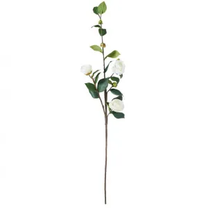 CAMELLIA STEM