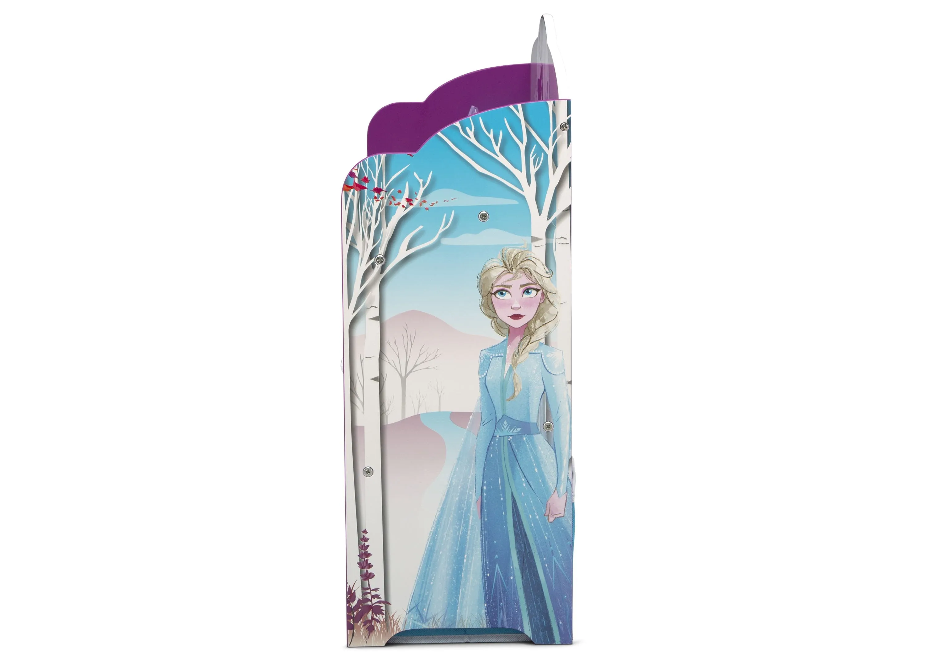 Frozen II Deluxe Toy and Book Organizer