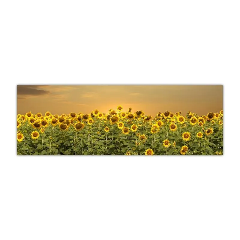 Gorgeous Sunflower Landscape Canvas Prints (50x150cm)