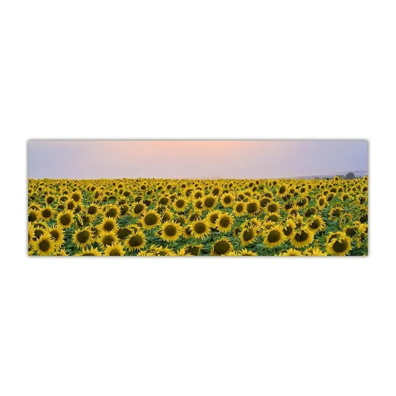 Gorgeous Sunflower Landscape Canvas Prints (50x150cm)