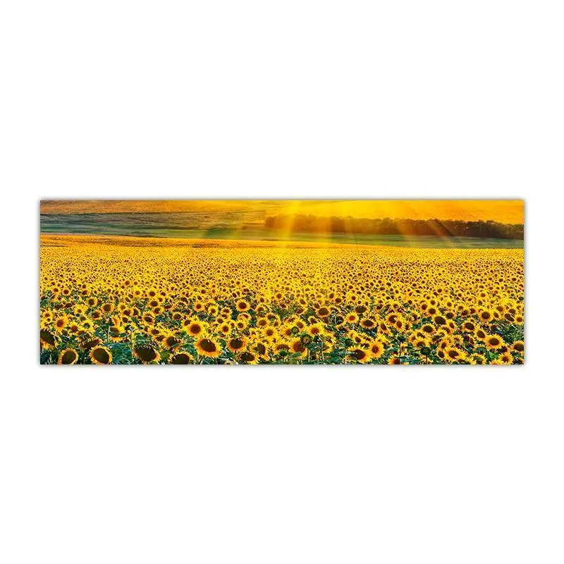 Gorgeous Sunflower Landscape Canvas Prints (50x150cm)