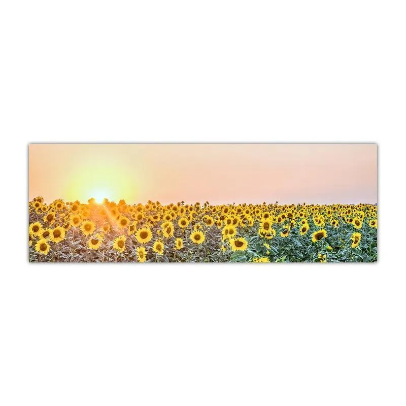 Gorgeous Sunflower Landscape Canvas Prints (50x150cm)