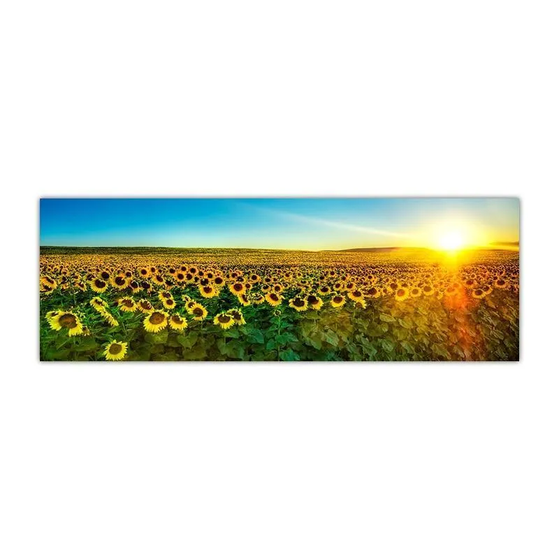 Gorgeous Sunflower Landscape Canvas Prints (50x150cm)