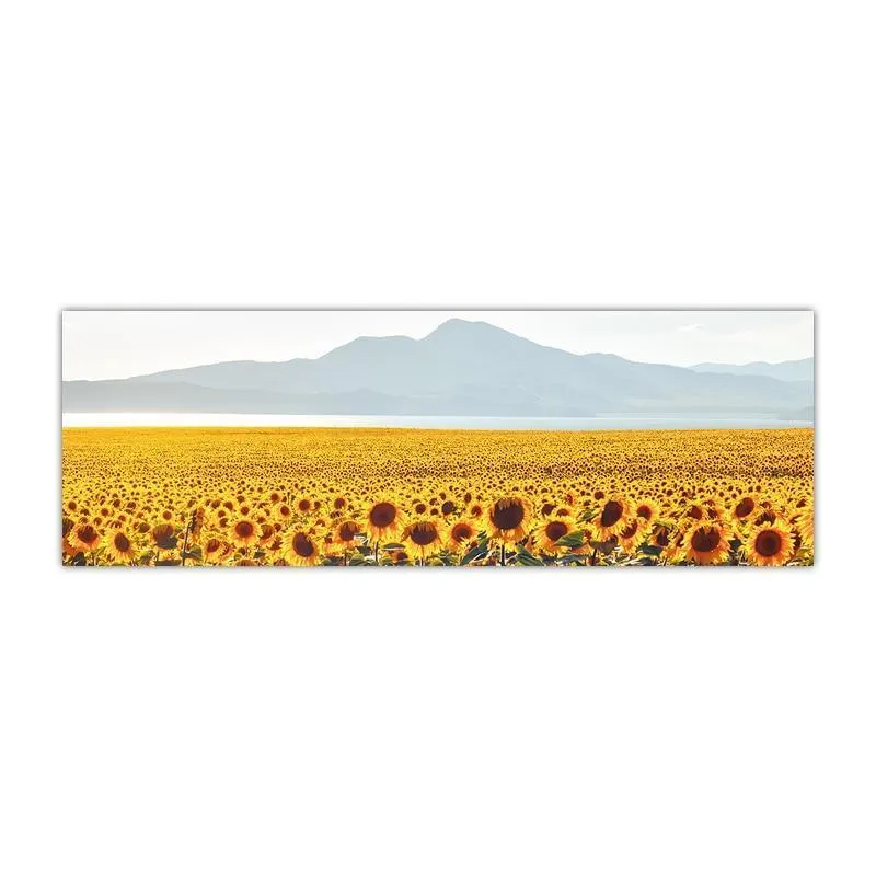 Gorgeous Sunflower Landscape Canvas Prints (50x150cm)