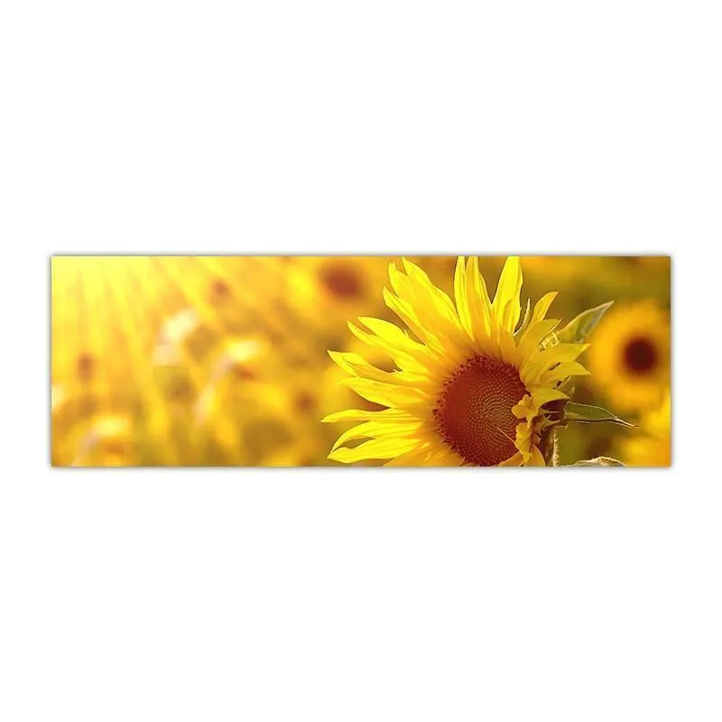 Gorgeous Sunflower Landscape Canvas Prints (50x150cm)