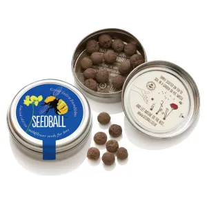 Great Yellow Bumblebee Seedball Tin