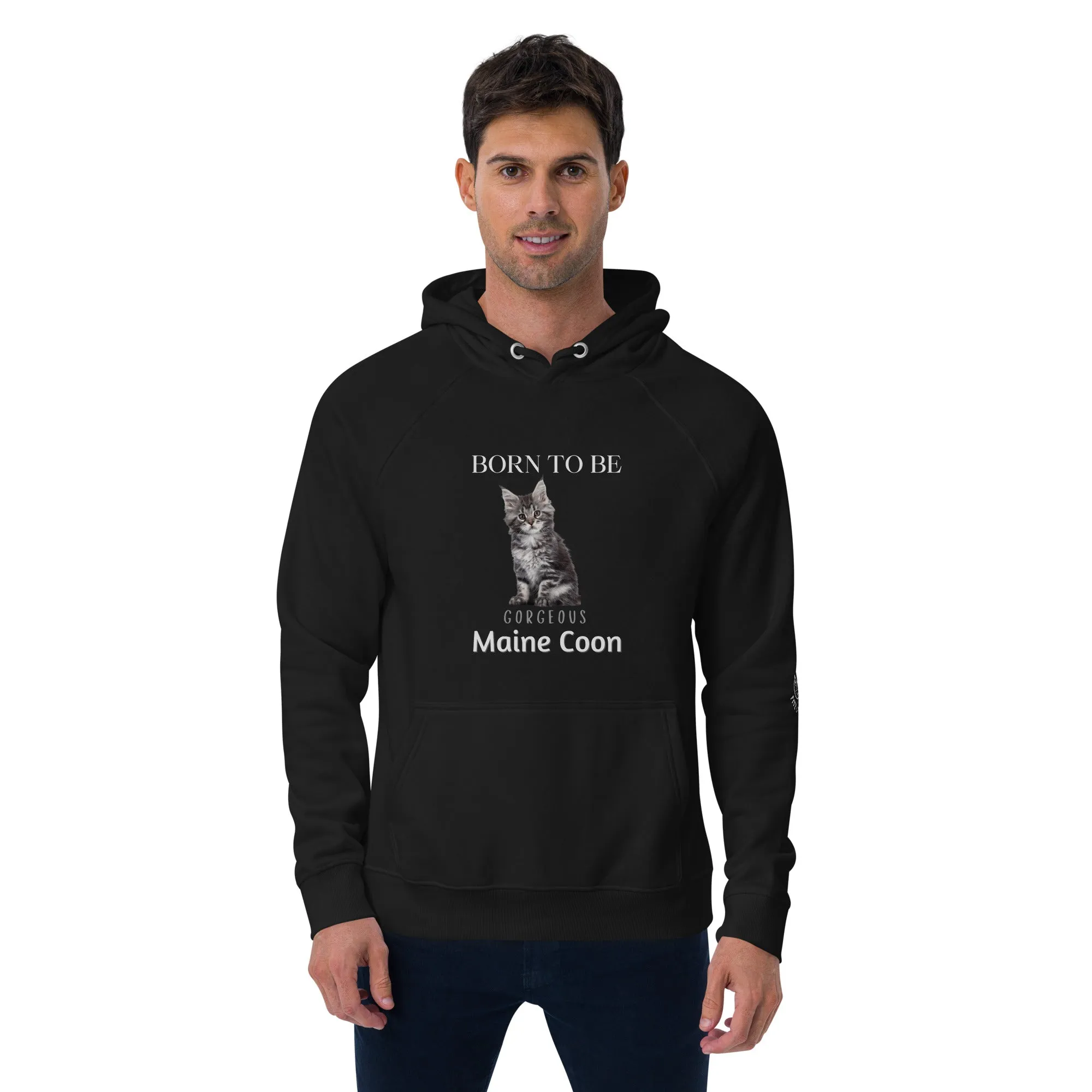 Maine Coons, Unisex raglan hoodie