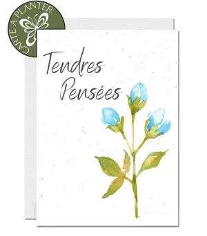 Plantable Condolence Card - Flower Buds