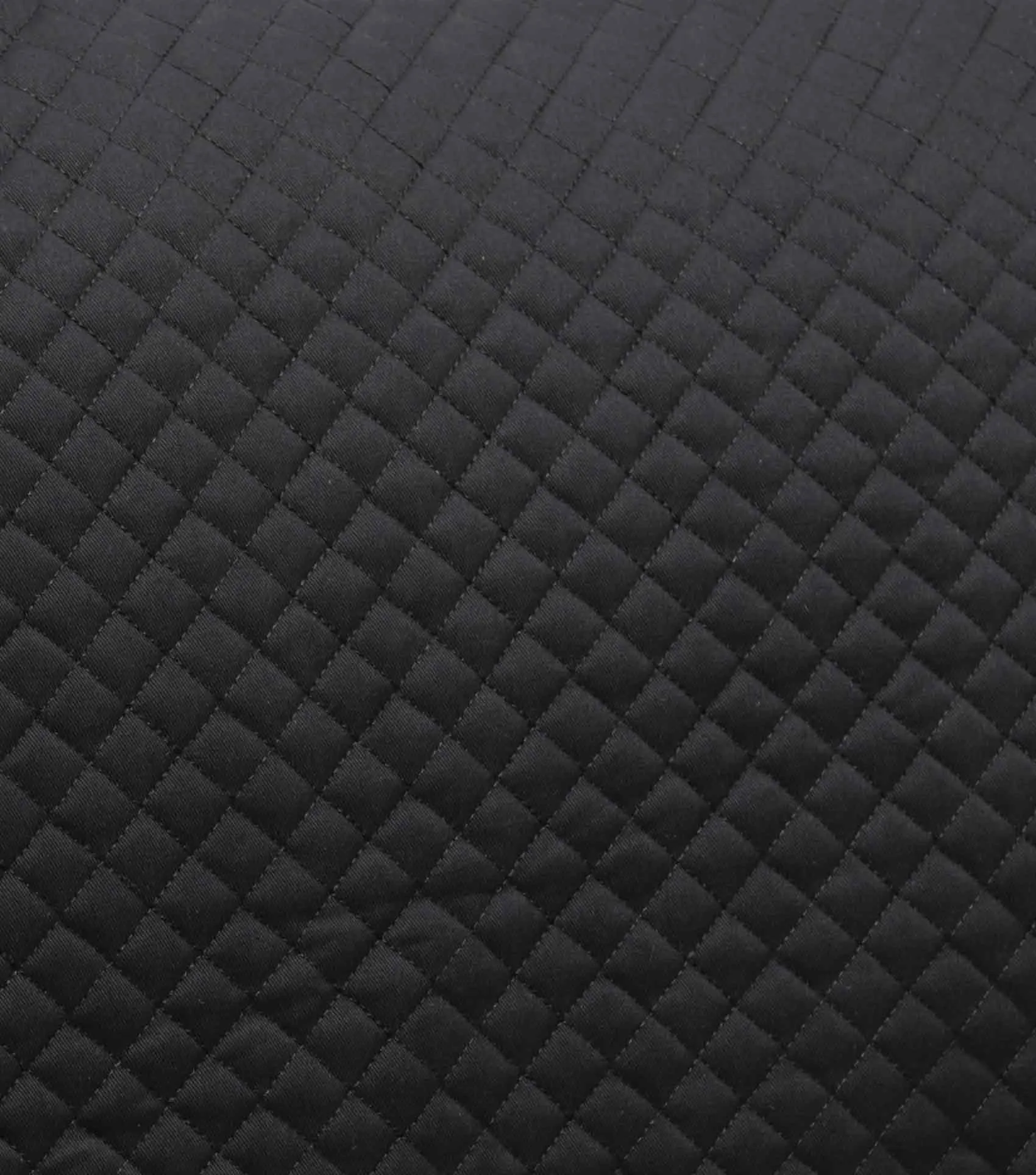 Pony Plain Cotton Dressage Square Black