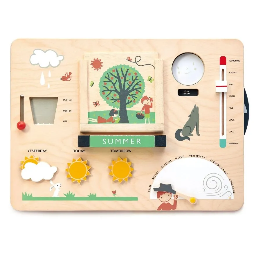 Tender Leaf Toys Weather Watch